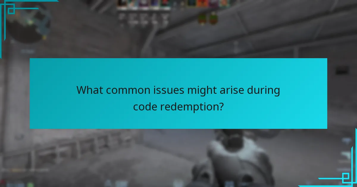 What common issues might arise during code redemption?